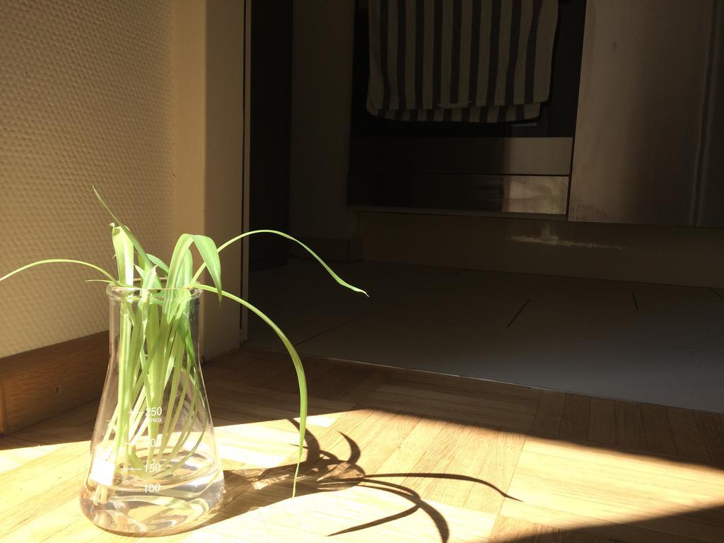 בזל In Swiss Home - Downtown Rhine Riverside Luxury מראה חיצוני תמונה
